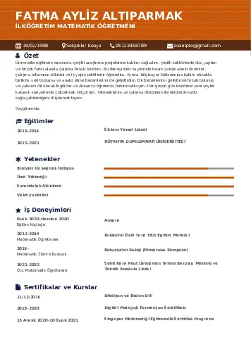 Matematik Öğretmeni Cv Örnekleri cv indir